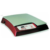 Blotting Systems
