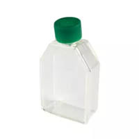 Cell Culture Flasks