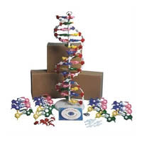 DNA