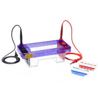 Horizontal Gel Systems