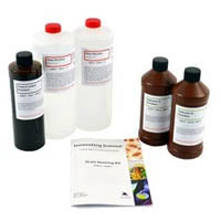 Microbiology