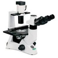 Inverted Microscopes