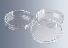 VWR International DISH PETRI 100x15MM PS 20/PKG (25384-302) - D4373-2