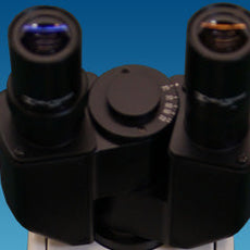 BINOCULAR HEAD for MT