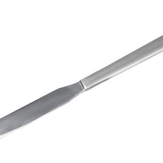 Burkle Palette knife spatula stainl. steel, LxW 200x21 mm