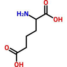 DL-alpha-Aminoadipic Acid