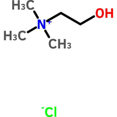 Choline Chloride, USP Dietary Supplement