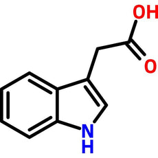 Indole-3-acetic Acid