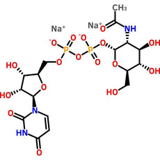 Uridine 5'-Diphospho-N-acetylglucosamine Sodium Salt