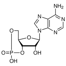 Adenosine 3',5'-Cyclic Monophosphate, 1G - A2381-1G