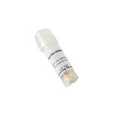 E. Coli Freeze Dried W/O Transfer Media -IS3802