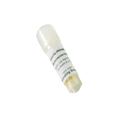 Serratia Marcescens Freeze Dried Culture W/O Transfer Media -IS3804