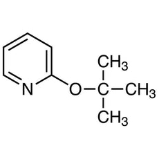 2-tert-Butoxypyridine, 1G - B5575-1G