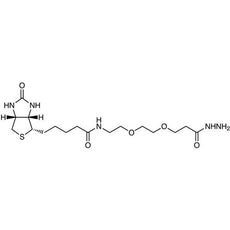 Biotin-PEG2-Hydrazide, 50MG - B5577-50MG