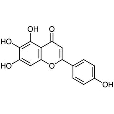 Scutellarein, 10MG - C3507-10MG