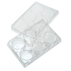  Celltreat 24 Well Tissue Culture Plate with Lid, Individual, Sterile, 50/Cs - 229123