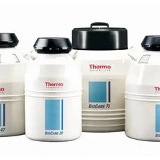 Thermo Scientific BIOCANE 34 Vessel - CK509X3