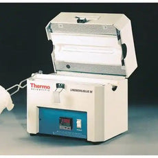 Thermo Scientific LindbergBlueM Tube 1100¬°√£C 120V - TF55030A-1