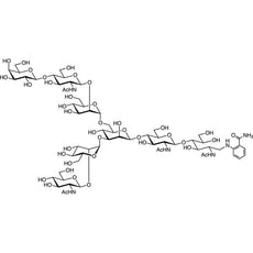 6-G1 2AB(500pmol/vial), 1VIAL - G0492-1VIAL