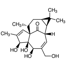 Ingenol, 50MG - I1112-50MG