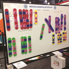 Meiosis Manipulatives Kit - MEIKIT