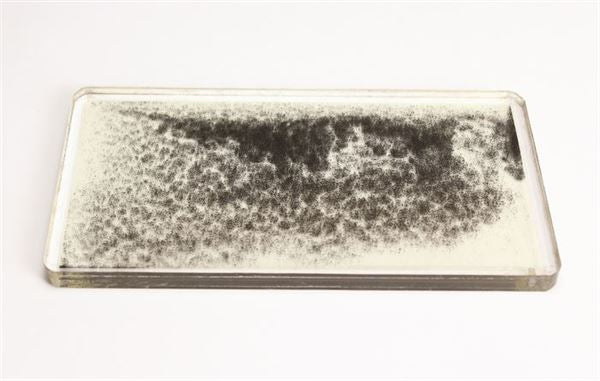 Magnetic Demonstrator