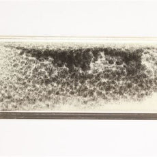 Magnetic Field Demonstrator - MGFD03