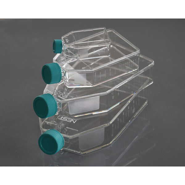 Cell Culture Flasks