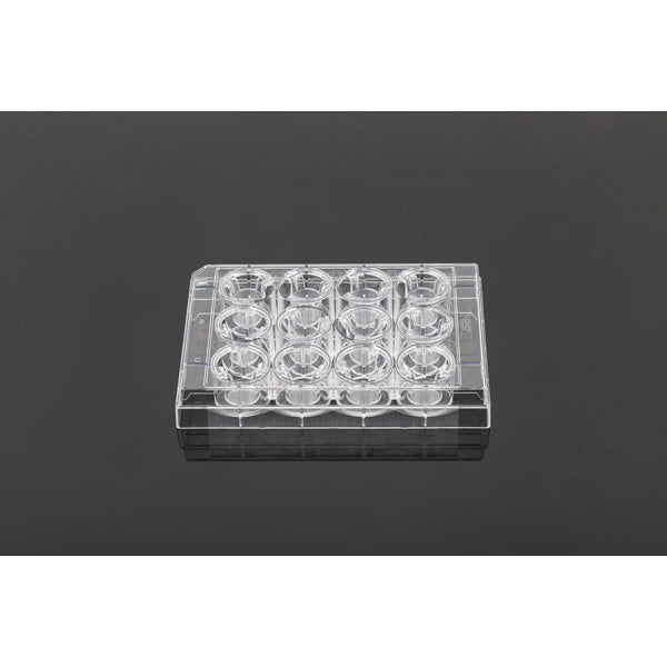 Cell Culture Inserts