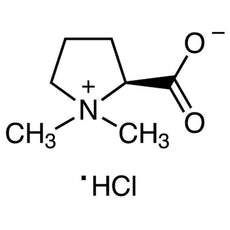 Stachydrine Hydrochloride, 10MG - S0358-10MG