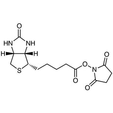 N-Succinimidyl D-Biotinate, 1G - S0491-1G