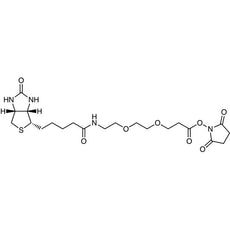 N-Succinimidyl 9-(Biotinamido)-4,7-dioxanonanoate, 25MG - S0955-25MG