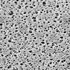 Sartorius PESMembran_0.1um_25mm_100pc - 15458-25-N