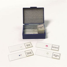 Biology Prepared Slide Set Of 14 - SLD014