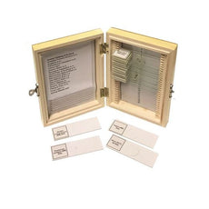 Biology Prepared Slide Set Of 16 - SLD016