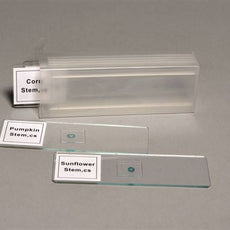 Prepared Slide Set, 4 Slides - SLDSET4